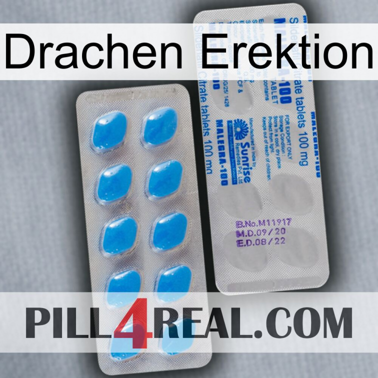 Dragon Erection new15